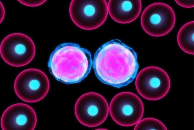 sicke cell anemia