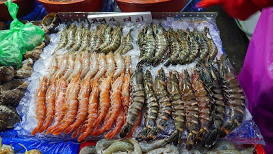 Umpan pancing yang paling jitu untuk mancing ikan di laut