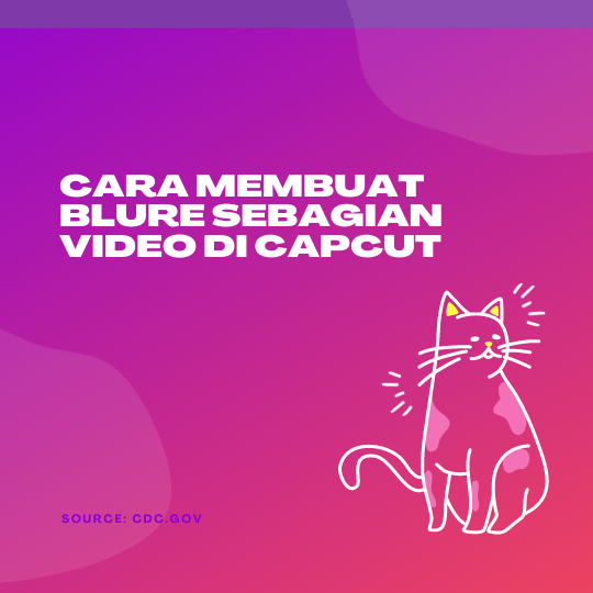 Cara Membuat Blure Sebagian Video di CapCut