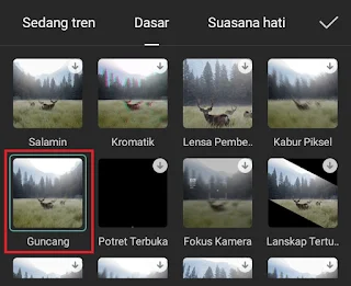 how to add shake on capcut