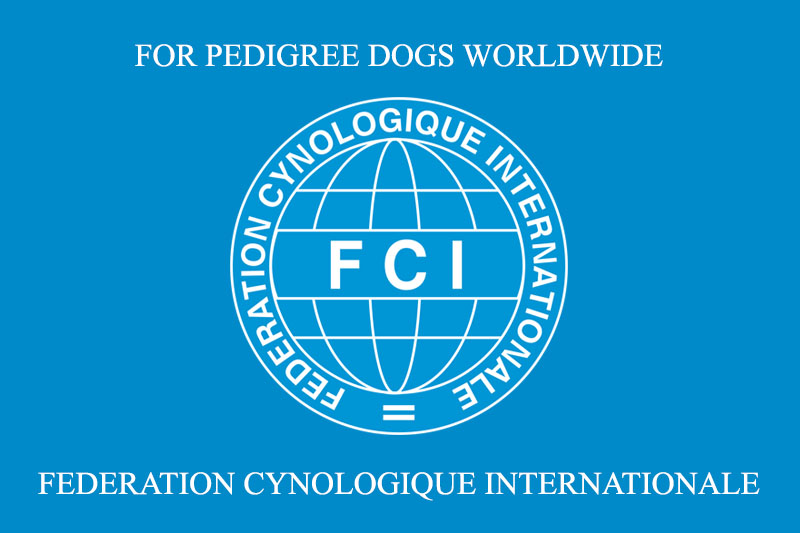 Fédération Cynologique Internationale BilginCin