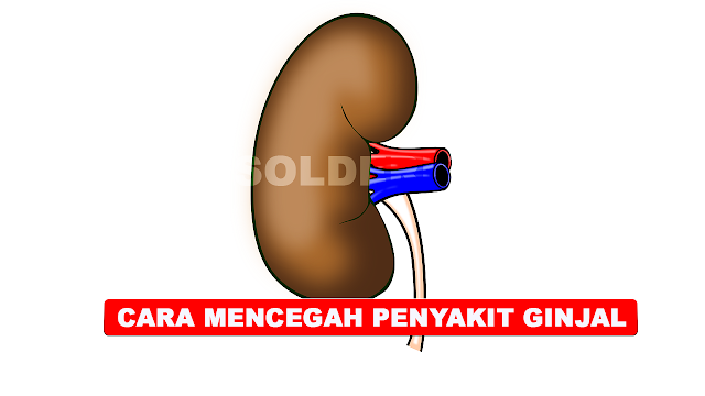 6 TIPS MENCEGAH PENYAKIT GINJAL SECARA ALAMI