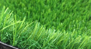 Tips Memilih Rumput Sintetis Jepang Tips Memilih Rumput Sintetis Jepang