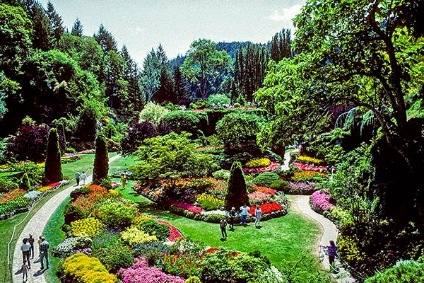 Butchart Gardens View