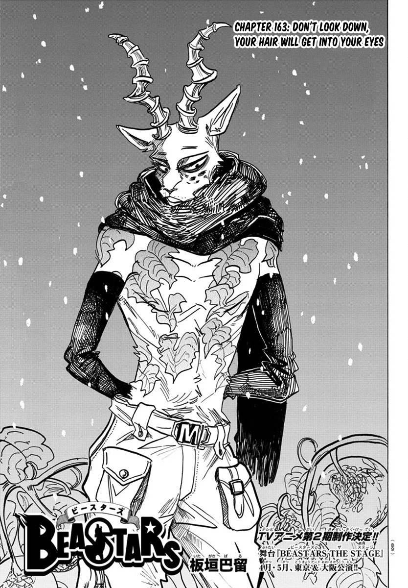 Beastars Chapter 163 Beastars Manga Online Beastars Chapter 163 Beastars Manga Online