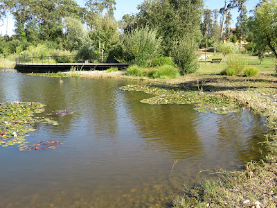 Palace Hotel Termas and SPA Monte Real