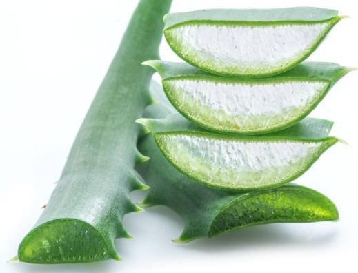 Cara memutihkan ketiak dengan lidah buaya Cara memutihkan ketiak dengan lidah buaya
