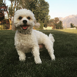 weekly phone matt distractions eli asked said pants mr he