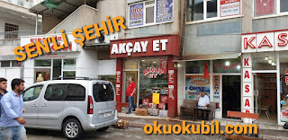 Sen’li Şehir