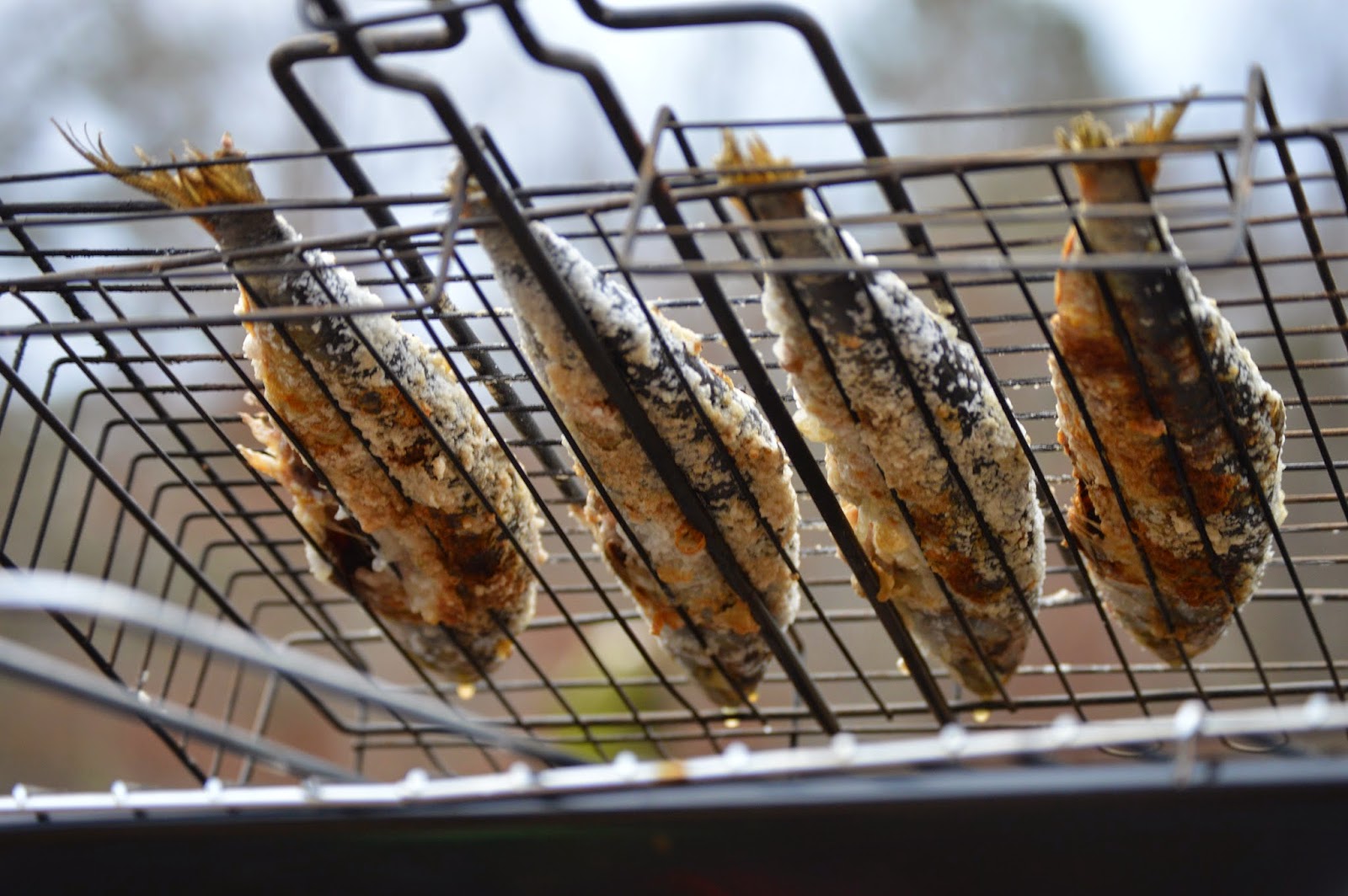 Mouth Full of Sardines