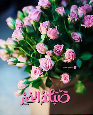 صور صباحية جديدة ورائعة