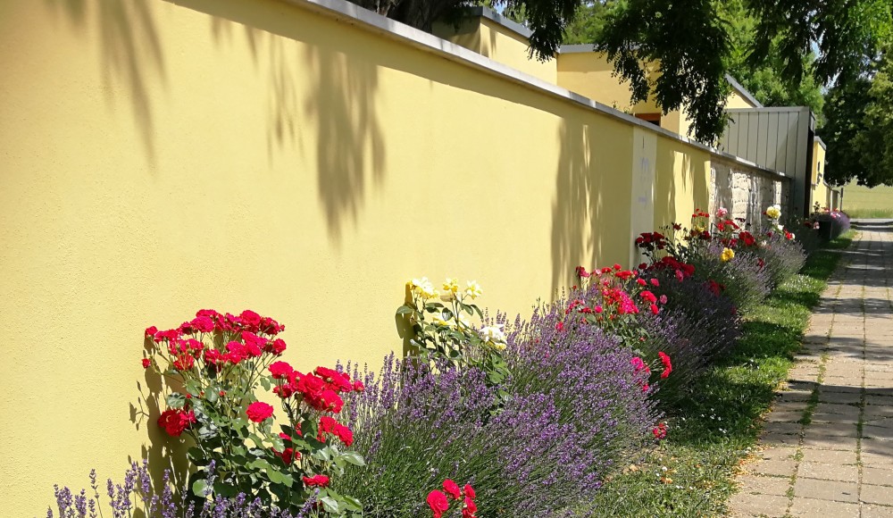 Barbaras Spielwiese Reiseblog Kloster Memleben