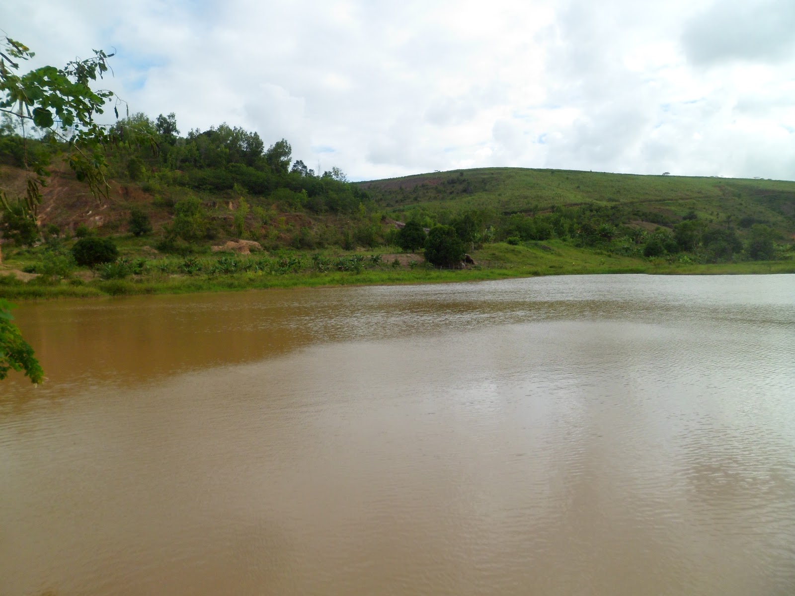 Uma visita de Domingo Matriz de