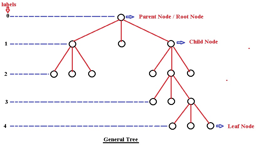 TREE | Data Structure - Online Free Education in India - vrakshacademy