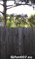 http://gifon007.eu/wp-content/uploads/2016/07/fence-dog-jump.gif