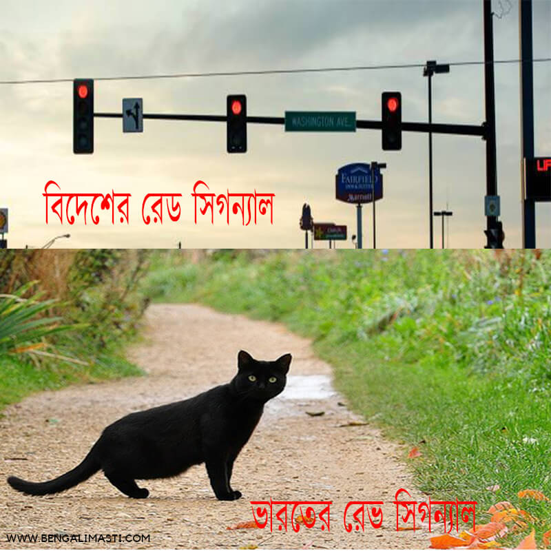 latest bengali jokes for whatsapp