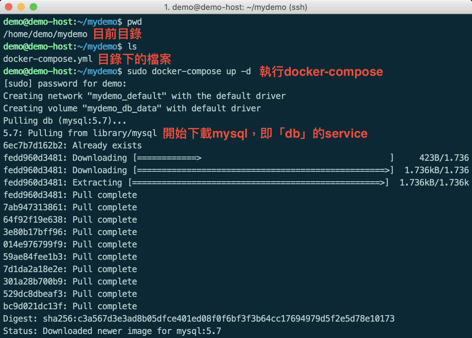 Docker Compose 拉取 MySqL Image