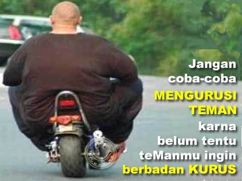 kata kata gokil februari 2013