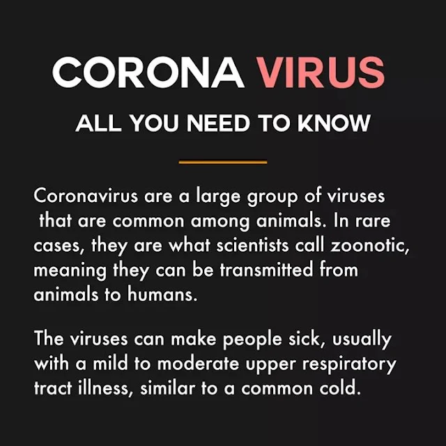 What Is Coronavirus?