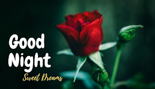 good night rose