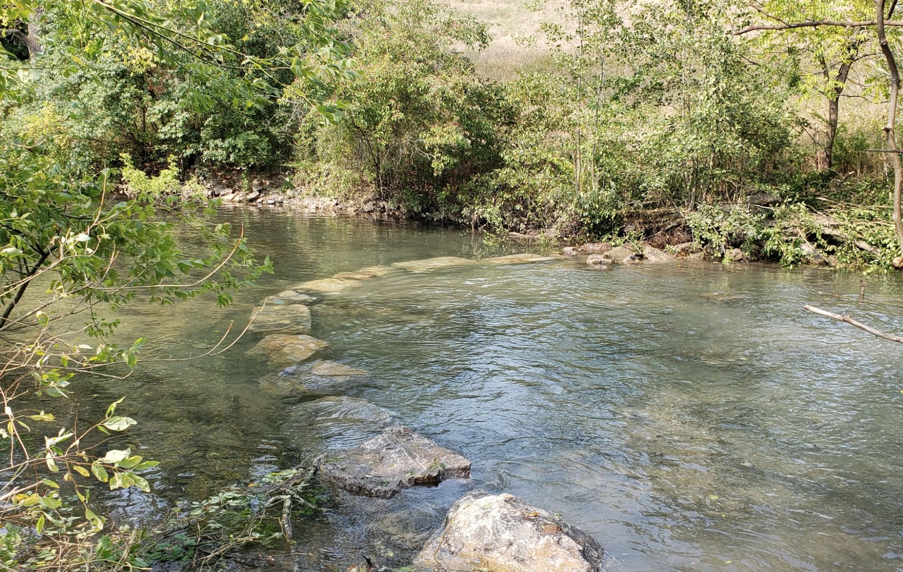 PA Environment Digest Blog Spring Creek Restoration In Centre County Creates Environmental And
