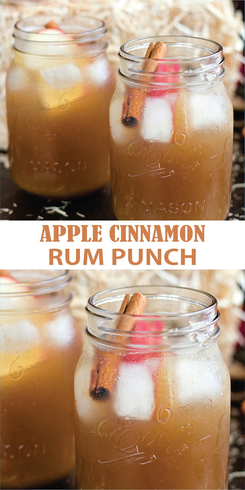 APPLE CINNAMON RUM PUNCH Foodie Zhile