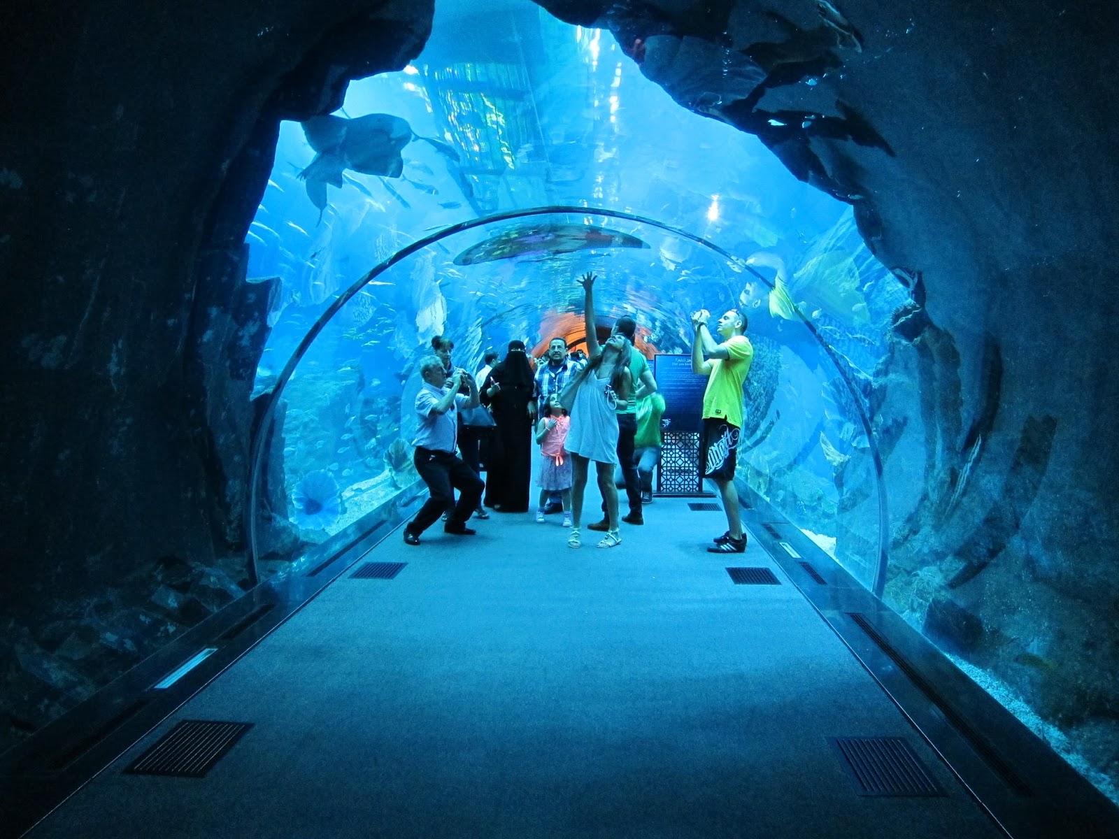 Океанариум в дубае