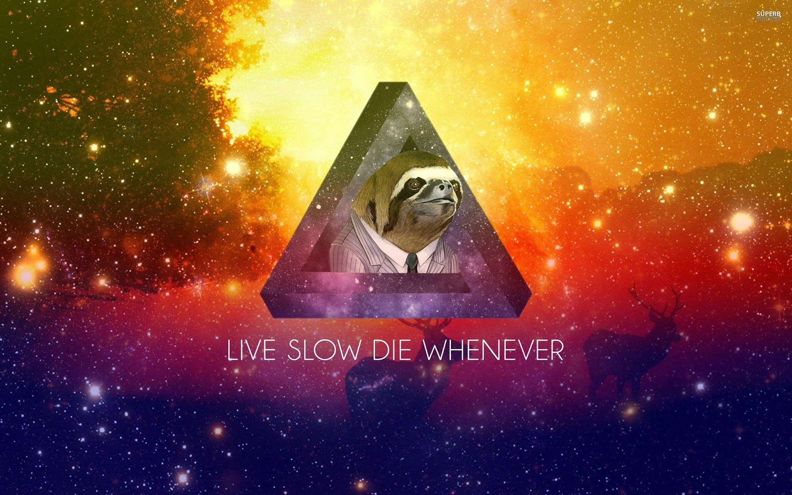 Sloth Wallpapers Sloth Wallpapers