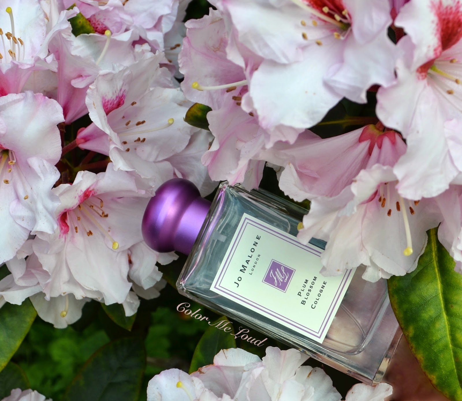 Jo Malone London Sakura Cherry Blossom & Plum Blossom for Blue Skies