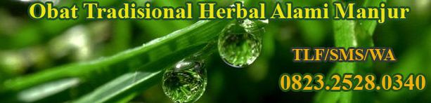 Obat Sipilis Herbal Manjur Alami