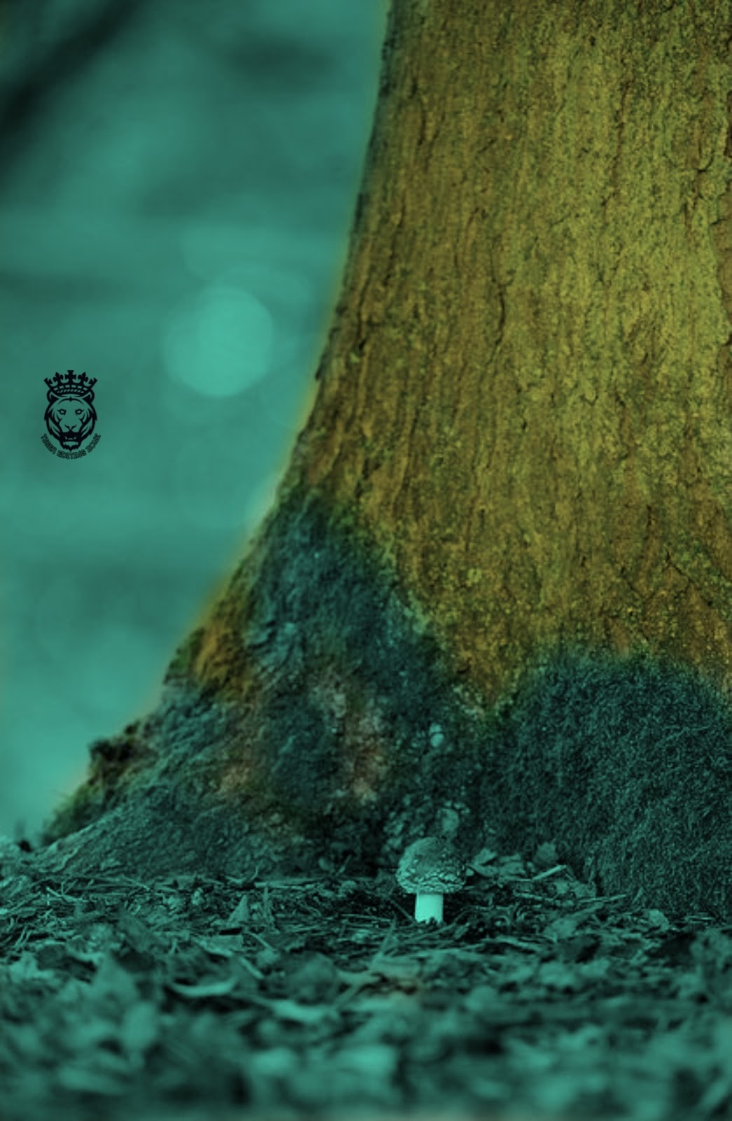 500+ Blue Background HD for Editing Moody Blue Photo Editing