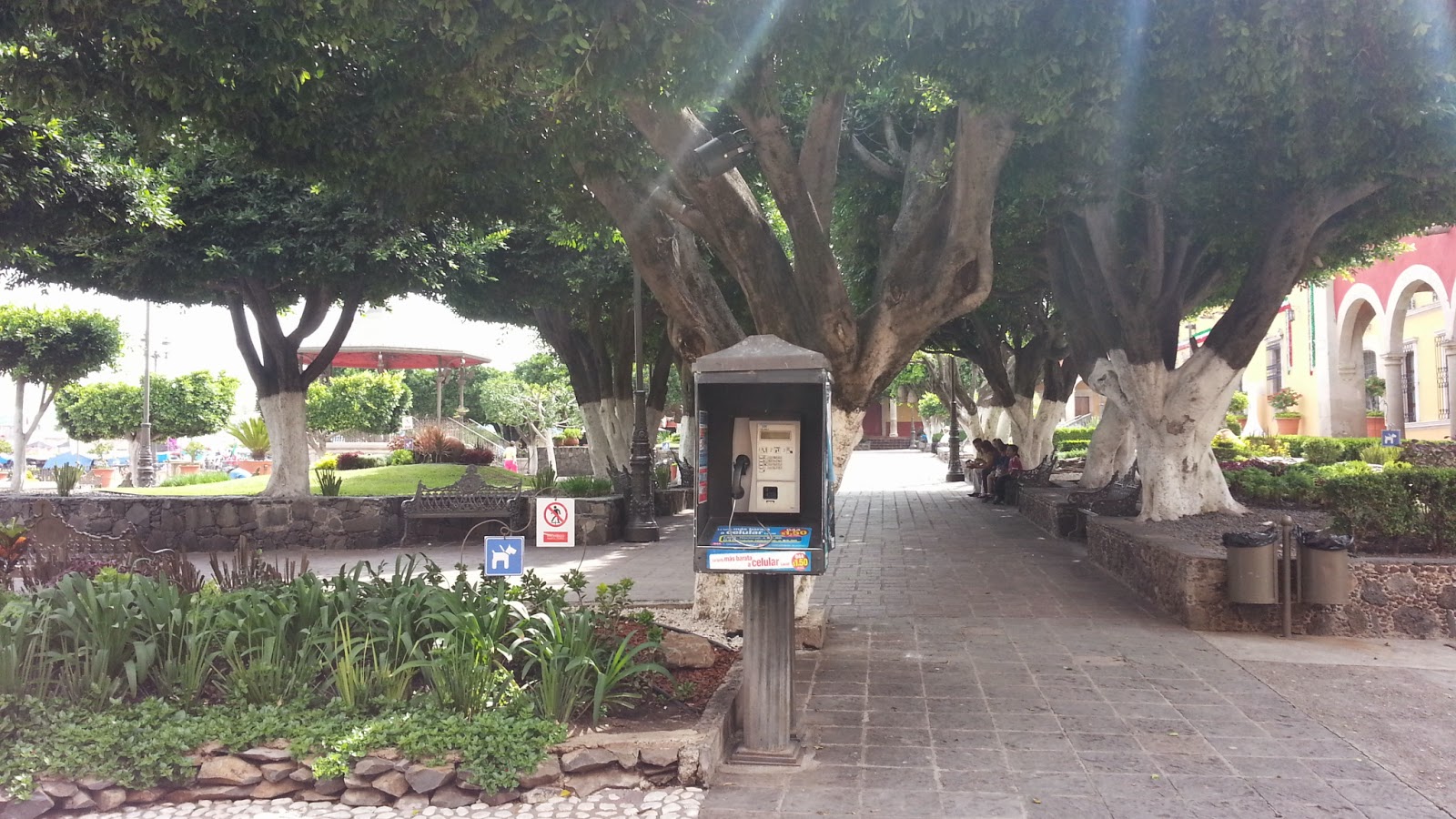 Gervacio Mendoza Yuriria Guanajuato 15 fotos