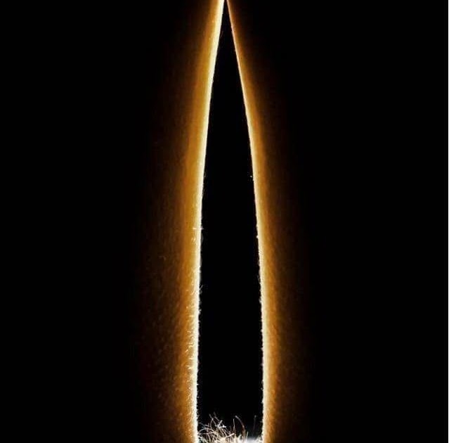 …American Sniper…