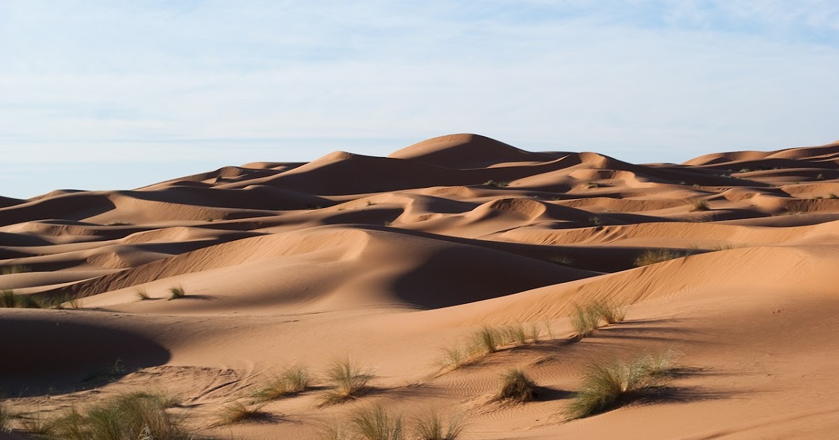 Bulmaca Bil Bir ya da birden çok kum tepesinden oluşan uzun kumul&hellip;