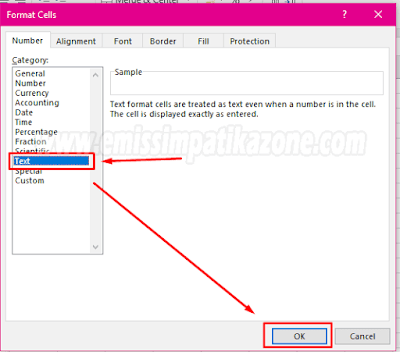 Cara Copy Paste Data Emis Capesun Ke Excel Dengan Mudah Dan Rapi