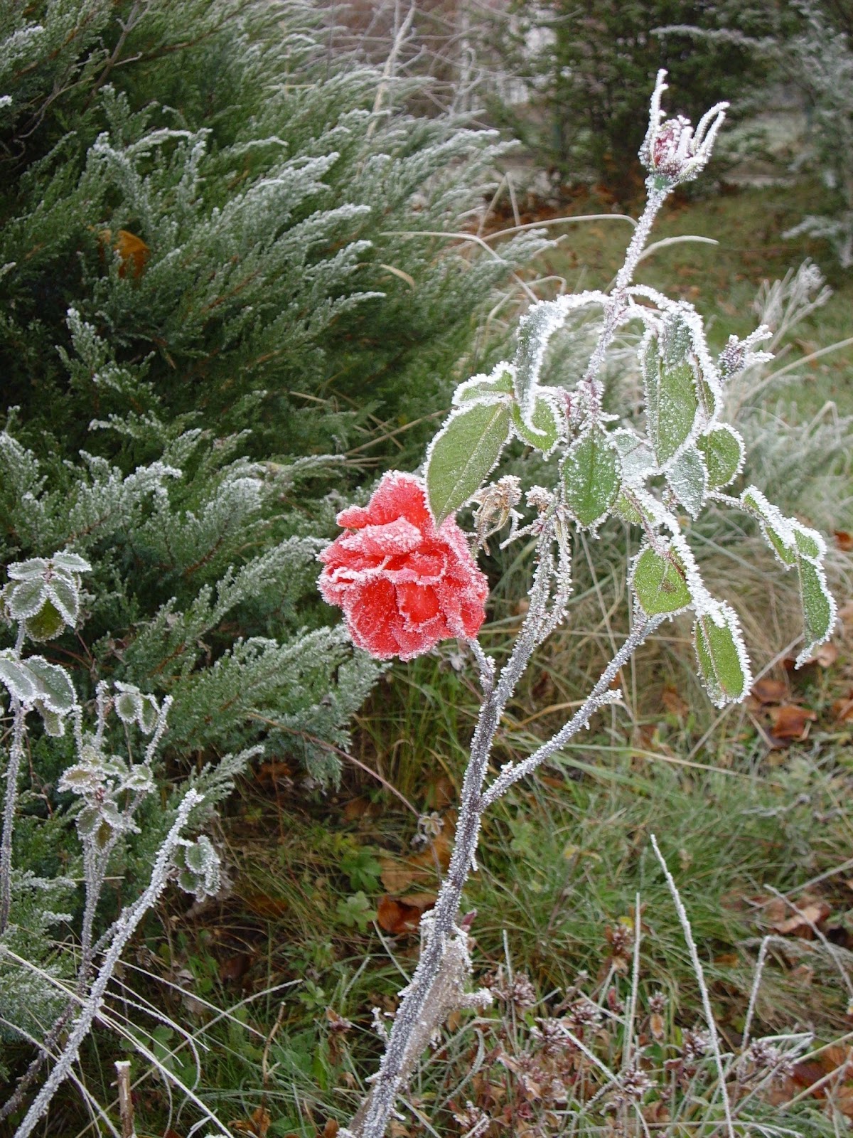 Seite Drucken Was Hort Ihr Gerade