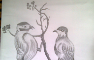 44 Baru Gambar 2 Dimensi Flora Dan Fauna