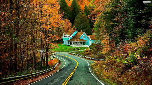 Road wallpaper with house
