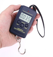 Mini Digital Hanging Electronic Hook Scale (40kg)