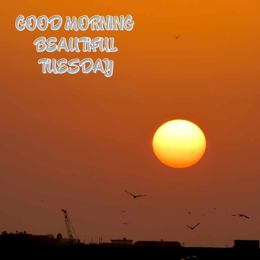 happy good morning tuesday