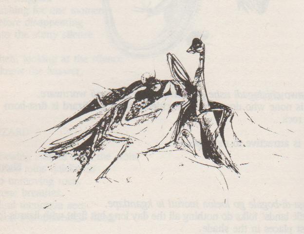 Critical Diaries No 94 The Meaning Of Mantis