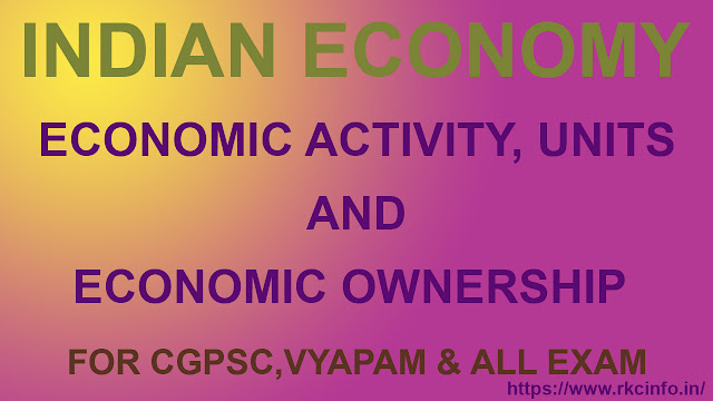 Economic Activity, Units and Economic Ownership