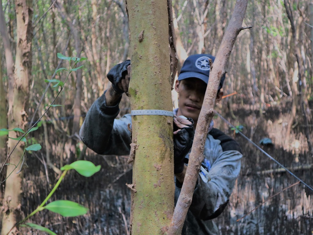 Reportase Proyek Pemantauan dan Kajian Ekosistem Mangrove IKAMaT dan YKAN di Semarang