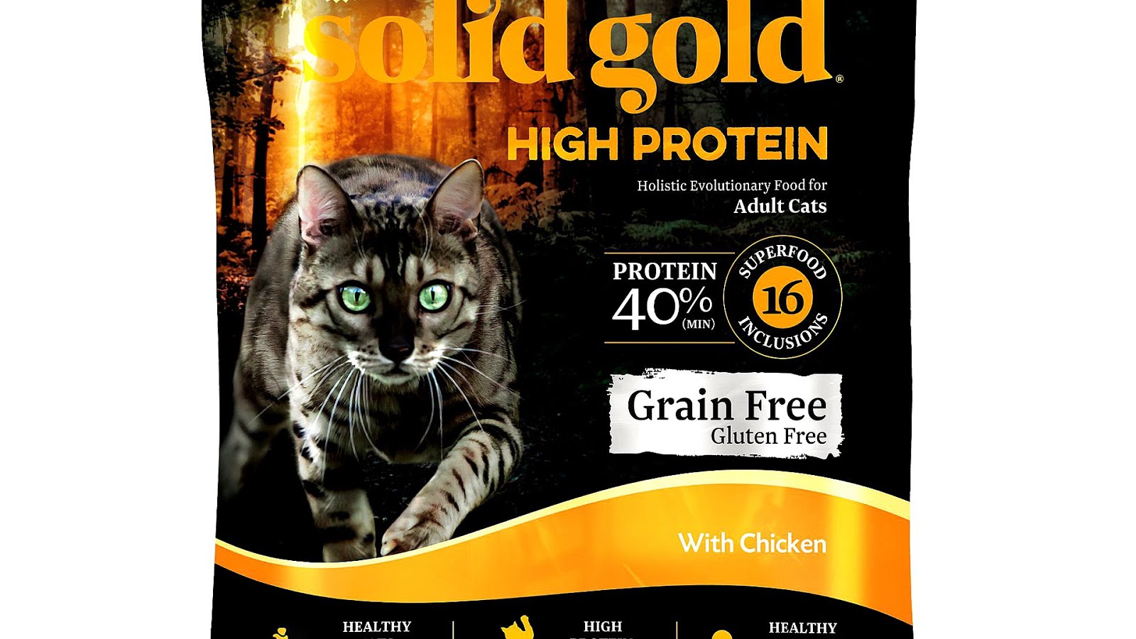 Cat Food High Protein Cat Choices