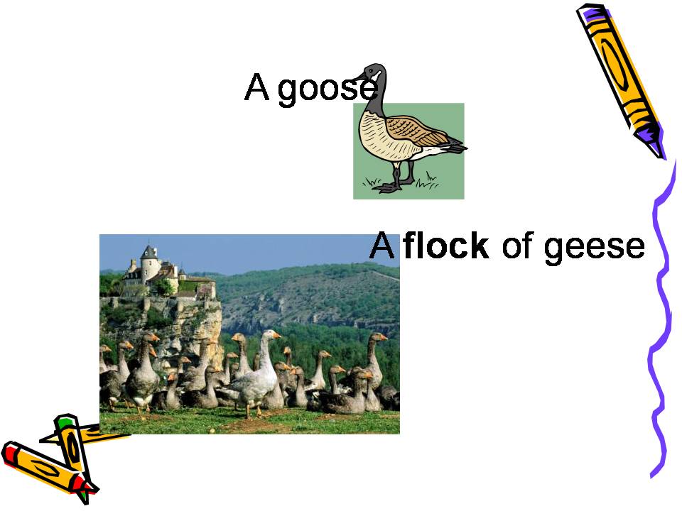 FPS eagles Power pack PresentationsCollective Nouns (Grade IV)