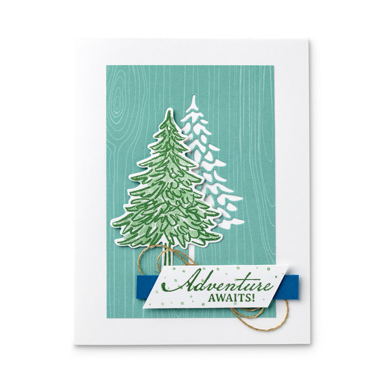 In The Pines Stamp Set Perfect for Holidays or AllOccasion Greeting