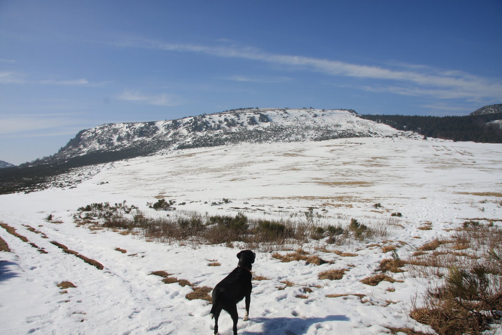 110306%2Blauziere%2B013.jpg 110306%2Blauziere%2B013.jpg