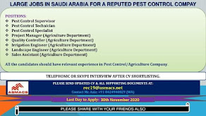 Gulf%2BJob%2BPaper%2B%252835%2529