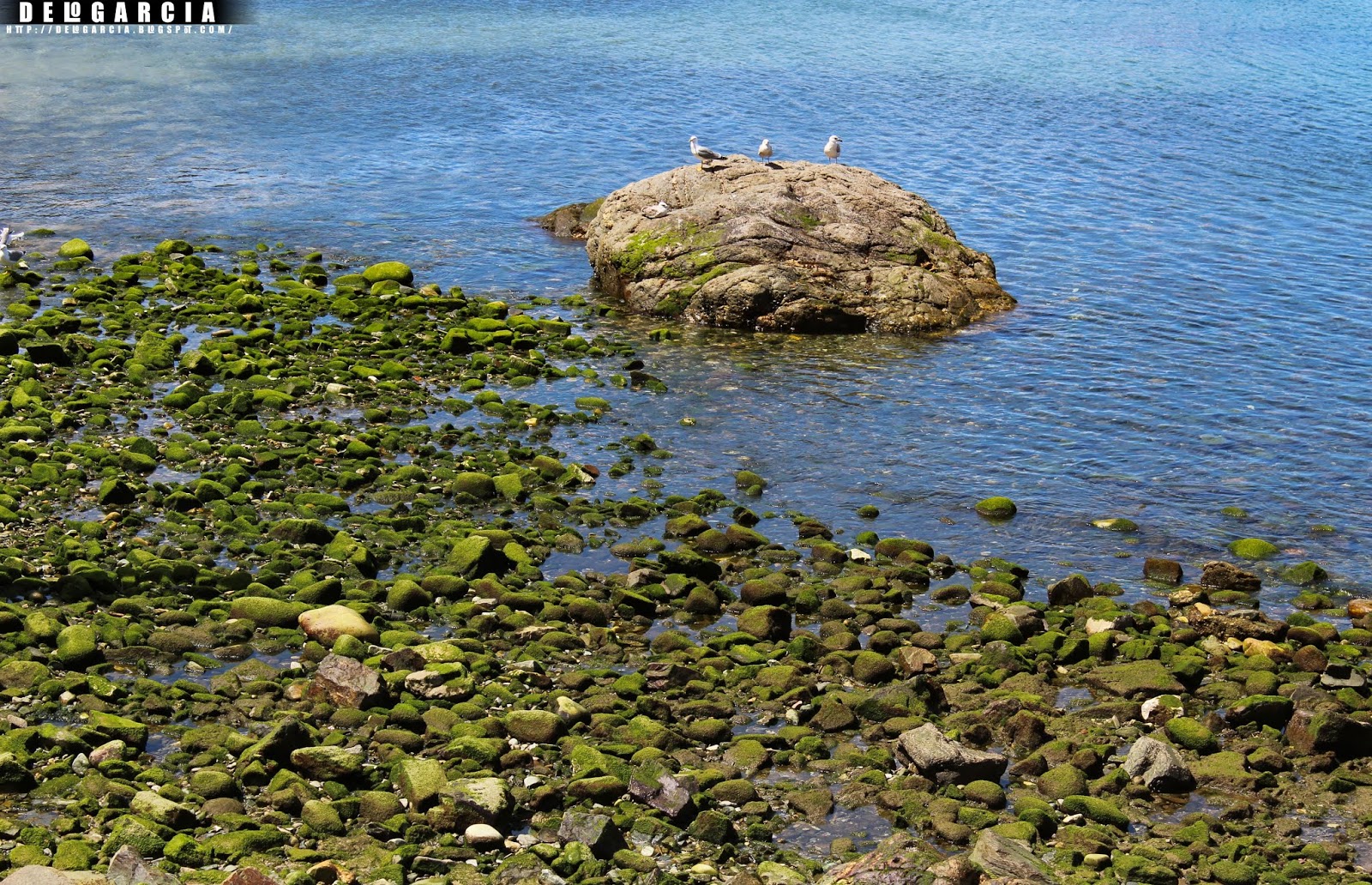 ॐ मणि पद्मे हूँ CUDILLERO