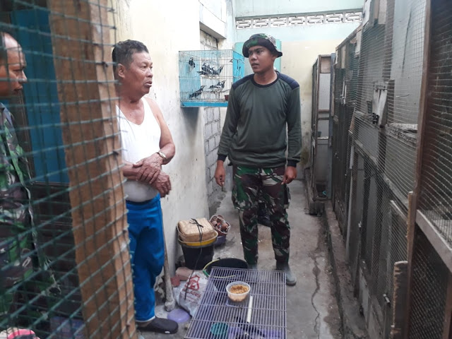 TNI akan Dorong Pengembangan Penangkaran Burung Jalak Desa Jimbung